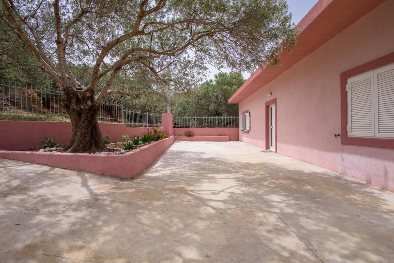 Palm Beach House Sfinárion エクステリア 写真