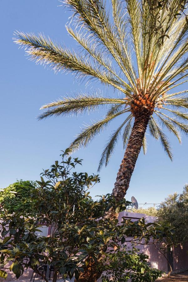 Palm Beach House Sfinárion エクステリア 写真